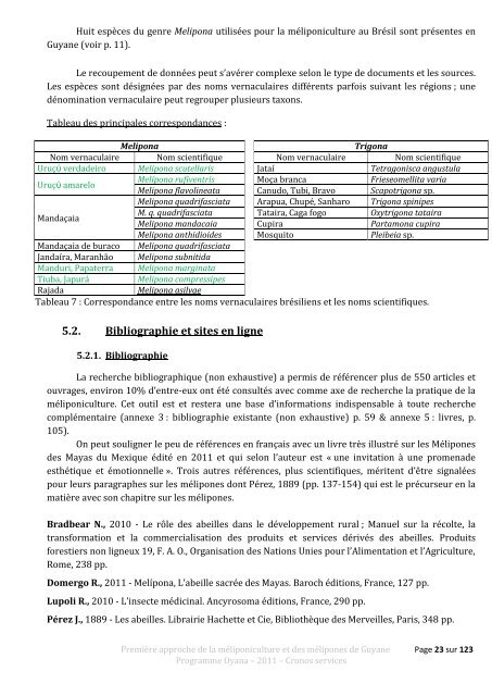 Première approche de la méliponiculture et des mélipones de Guyane