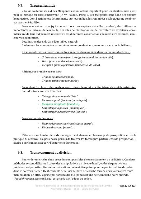 Première approche de la méliponiculture et des mélipones de Guyane