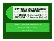 (Microsoft PowerPoint - SEGALE E TRITICALE - corso ... - Ense