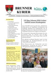 Datei herunterladen - .PDF - Gemeinde Brunn an der Wild