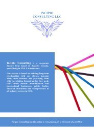 Incipio Consulting LLC Brochure