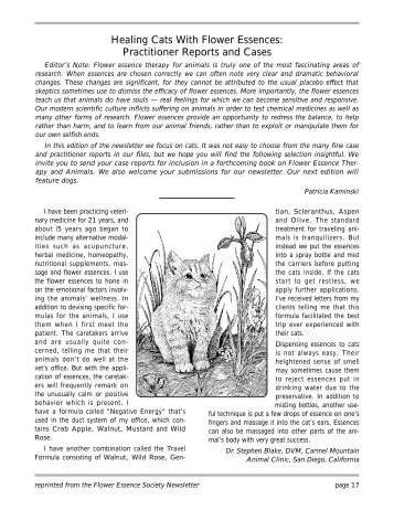 Healing Cats With Flower Essences: Practitioner Reports and Cases