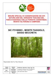 monte faggiolo, giogo seccheta - Parco Nazionale delle Foreste ...