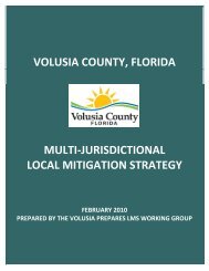 Local mitigation strategy (LMS) - Volusia County Government