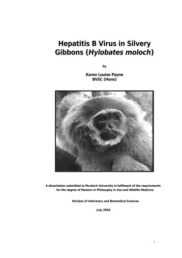 Hepatitis B Virus in Silvery Gibbons (Hylobates moloch) - Perth Zoo