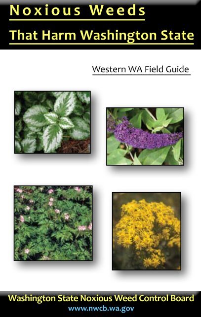 Noxious Weeds That Harm Washington State