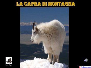 La Capra di Montagna - Naturalmente