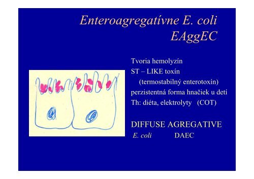 E. coli