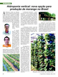 Hidroponia vertical: nova opÃ§Ã£o para produÃ§Ã£o de morango ... - IAC