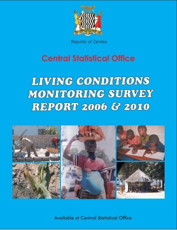 2006-2010 LCMS Report Final Output.pdf - Central Statistical Office ...