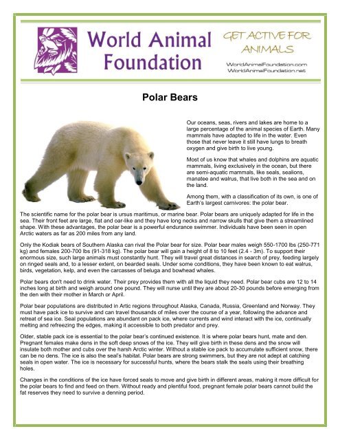 Polar Bears - World Animal Foundation Polar Bears - World Animal Foundation