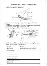 Ãœbungsaufgaben -Nerven- und Hormonsystem - Realschule Lage