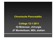 College chronische pancreatitis - Utrecht Digestive Center