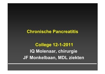 College chronische pancreatitis - Utrecht Digestive Center