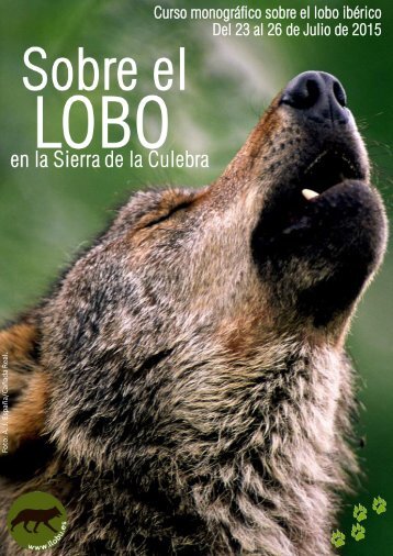PDF-Curso-monografico-lobo-iberico-jornadas-sobre-el-lobo-Sierra-de-la-Culebra1