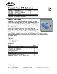 Yeast ORF Collection - Bioxys