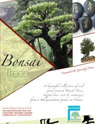 Bonsai Trees - Catalog - ForemostCo