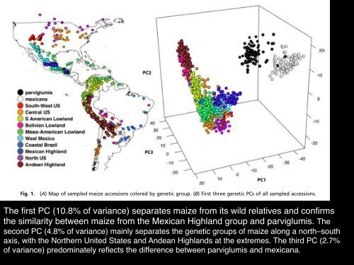 4VariacionEvolucion2b copy.pdf - Instituto de Ecología