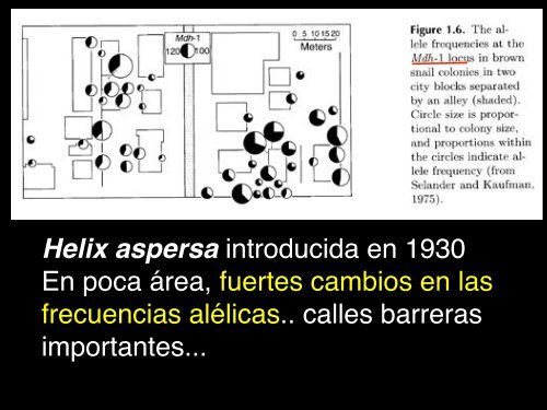 4VariacionEvolucion2b copy.pdf - Instituto de Ecología