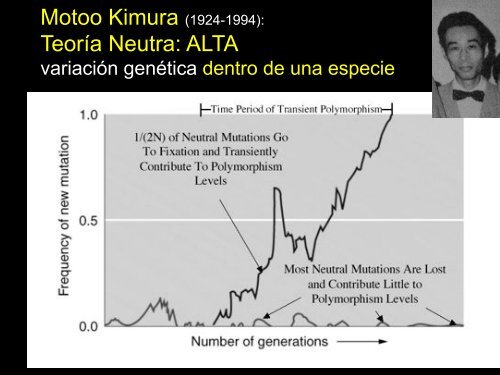 4VariacionEvolucion2b copy.pdf - Instituto de Ecología