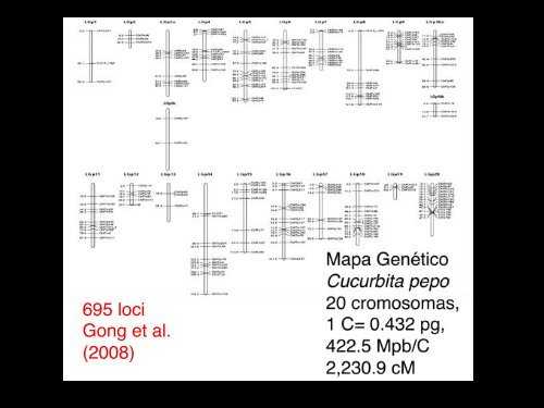 4VariacionEvolucion2b copy.pdf - Instituto de Ecología