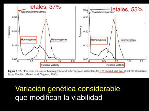 4VariacionEvolucion2b copy.pdf - Instituto de Ecología