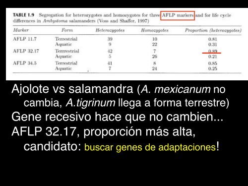 4VariacionEvolucion2b copy.pdf - Instituto de Ecología