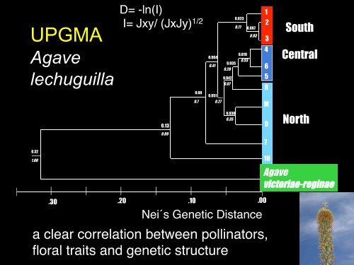 4VariacionEvolucion2b copy.pdf - Instituto de Ecología