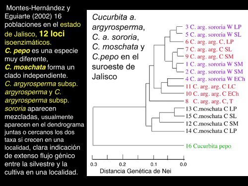 4VariacionEvolucion2b copy.pdf - Instituto de Ecología