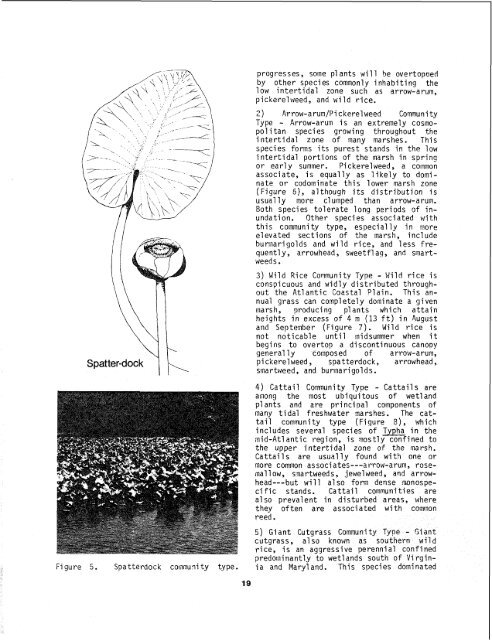 The Ecology of Tidal Freshwater Marshes of the - USGS National ...