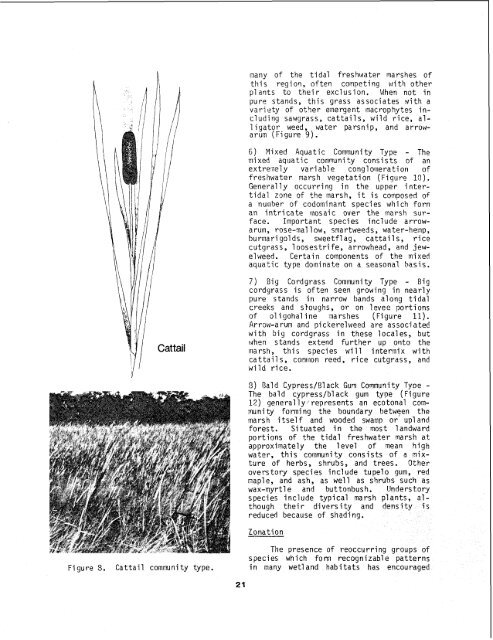 The Ecology of Tidal Freshwater Marshes of the - USGS National ...