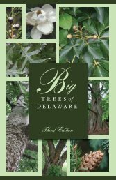 Big Trees of Delaware - Delaware Department of Agriculture - State ...