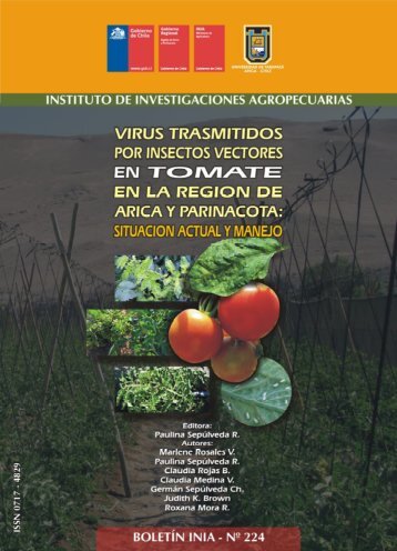 Virus trasmitidos por insectos vectores en tomate en ... - Inapi Proyecta