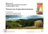 Thermal use of agricultural biomass (PDF) - bioenergybaltic