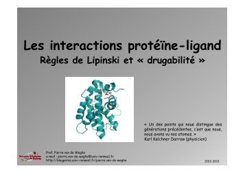 Les interactions protÃ©ine-ligand â rÃ¨gles de Lipinski