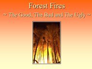 Fighting Forest Fires Who, How and Why? - Learn Forestry