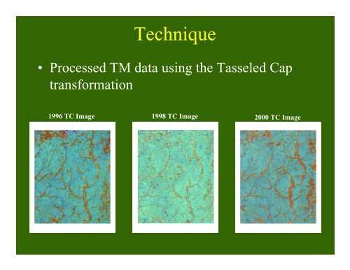 Using the Tasseled Cap Transformation to Identify Change - USGS ...