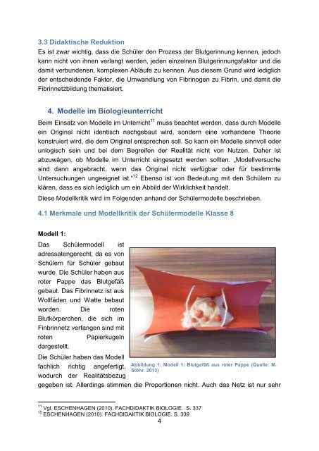 modellkritik der schülermodelle zum thema blutgerinnung der klasse 8