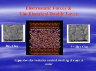 Liquid-Solid Interface I. Electrical Double Layer.