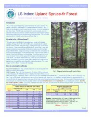 LS Index: Upland Spruce-fir Forest - Manomet Maine