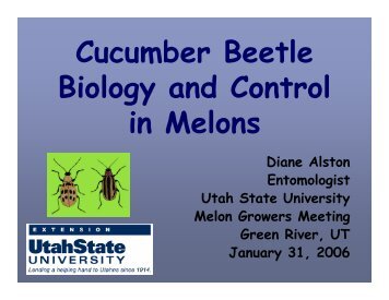 Cucumber Beetle Biology and Control in Melons - Utah Pests - Utah ...