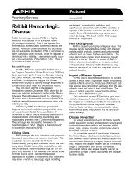 APHIS Fact Sheet Rabbit Hemorrhagic Disease