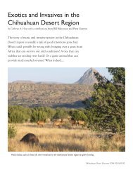 Exotics and Invasives in the Chihuahuan Desert Region