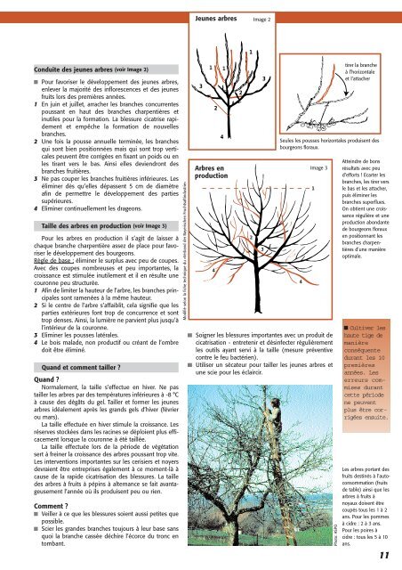 La culture biologique des vergers haute tige - Le centre d'agriculture ...