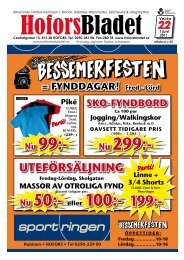 Parti! - Hoforsbladet