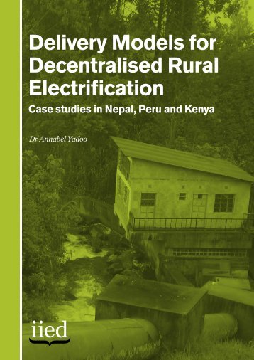Delivery Models for Decentralised Rural Electrification Case studies ...