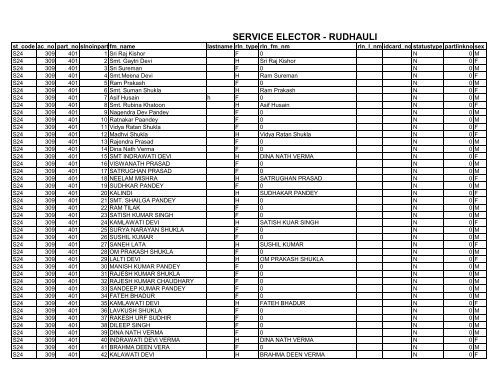 SERVICE ELECTOR - RUDHAULI - Basti