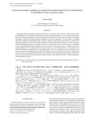 plant megafossil assemblage from the lower miocene ito-o formation ...