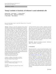 Young's modulus of elasticity of Schlemm's canal endothelial cells