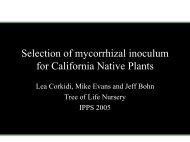 Selection of mycorrhizal inoculum for California Native Plants